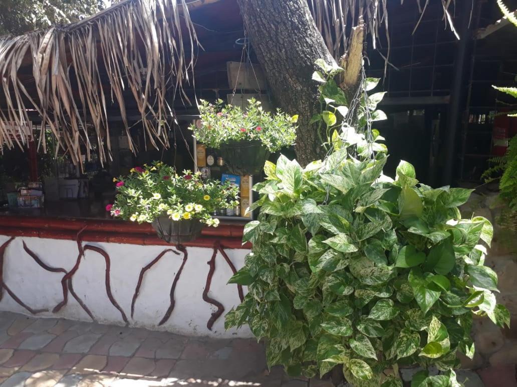 El Penon De Constantino - Tatacoa Hotel Villavieja Ngoại thất bức ảnh